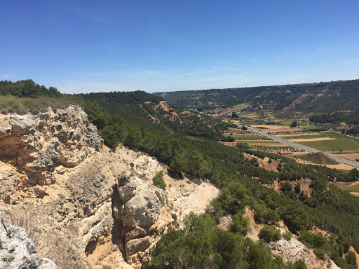 Drones Condor - Visual