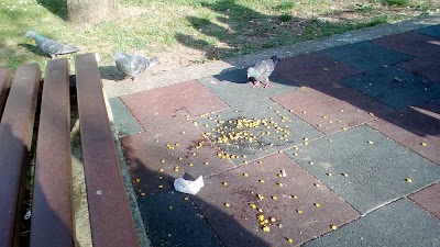 Photos of Градинката до автогарата
