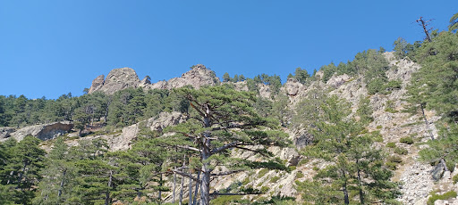 L'arche de Corte - Thumbnail