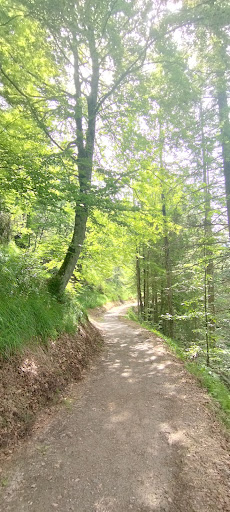 Carfon - Visual