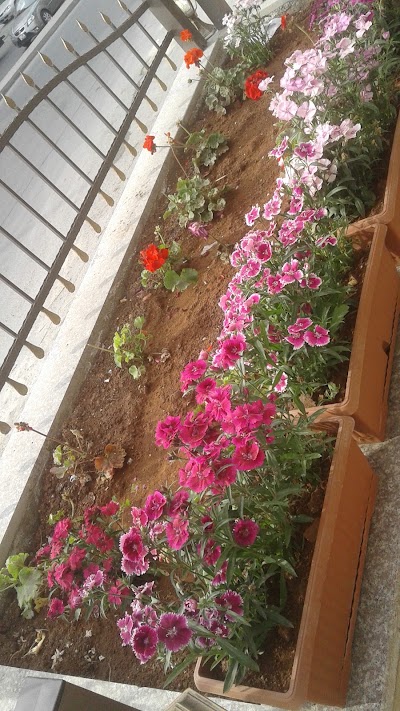 Photos of Masaya Al Deyar Apartments