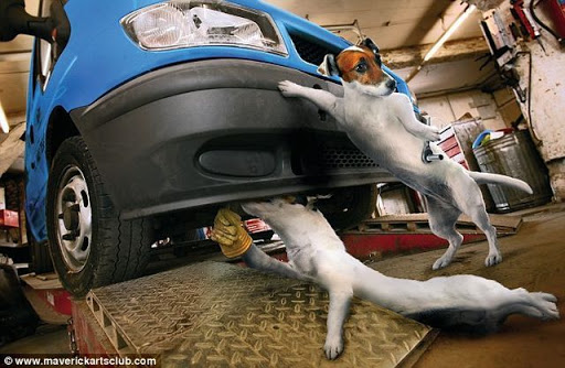 New England Brake and Auto Repair - Thumbnail