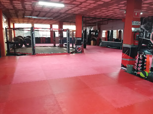 BUNKER MMA - Thumbnail