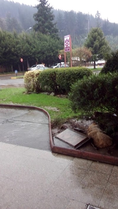 Photos of Rodoviario Temuco