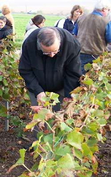 Photo n°11 de Paris Champagne Tour à Meudon (Agence de voyages)