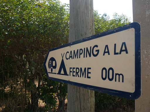 Camping des Loubes - Thumbnail