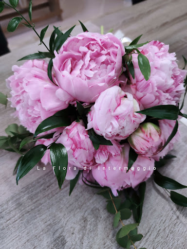 Fiori e piante Di Intermaggio Antonino - Thumbnail