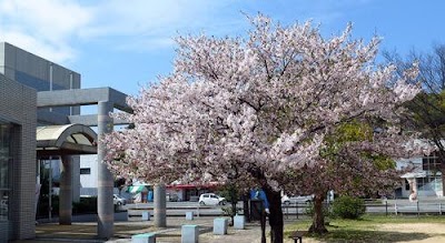 下関市立彦島図書館
