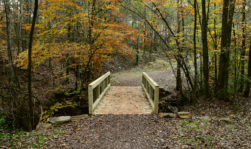 Lee Springs Park - Thumbnail
