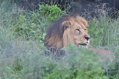 Photos of Ensessakotteh Wild Life Rescue,conservation And Education Center