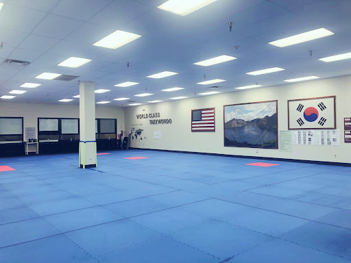 World Class Taekwondo - Thumbnail