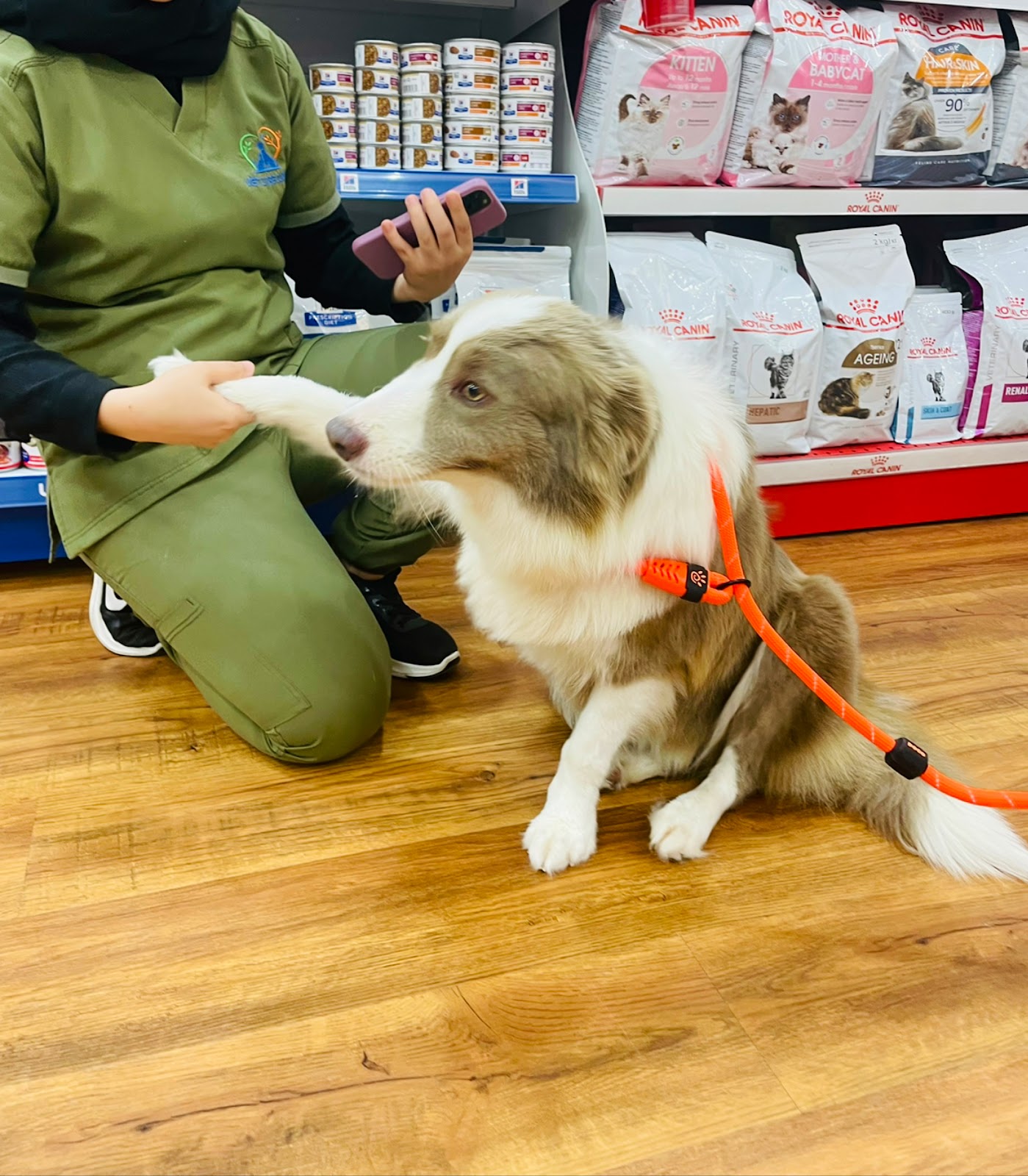 عيادة فيت كير البيطرية - صورة 2