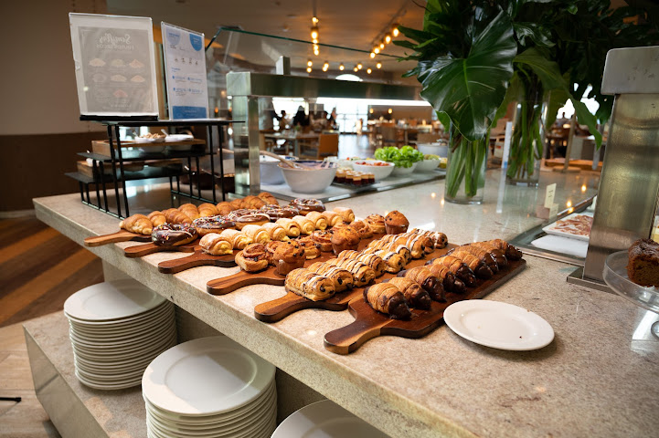 Hotel Catalonia Santo Domingo by null