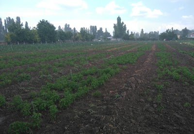 Photos of Cırgalan Parkı