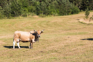 Photo n°9 de Le camping du Serre EARL de Montlahuc, Christian Montlahuc - à Cornillac (Bar à jus de fruits)