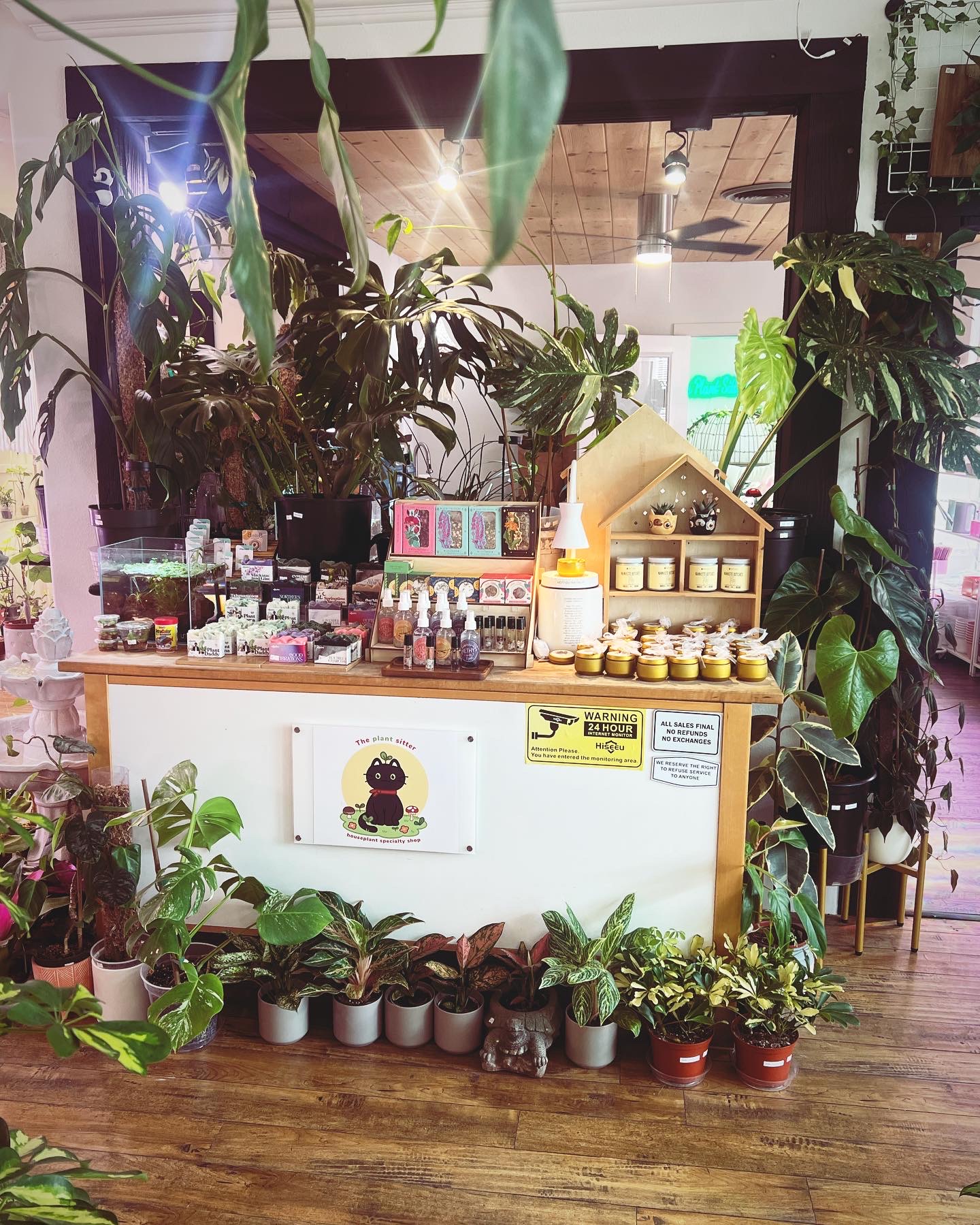 The Plant Sitter Rare and Uncommon Plant Specialty Shop