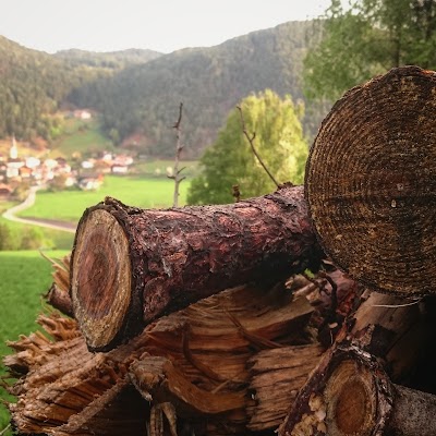 Photos of Puntschuhof