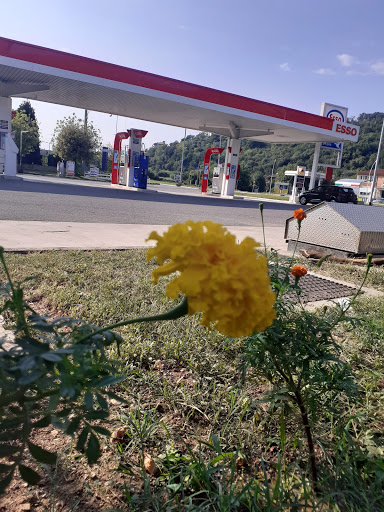 Esso Cellatica - Visual