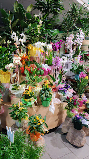 Die Blumenquelle - Thumbnail