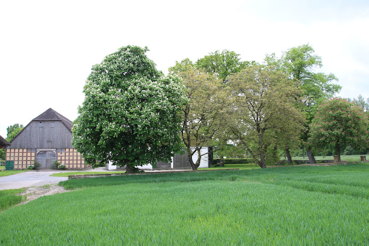 Upmeyer Kartoffelhof photo