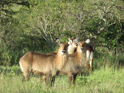 Photos of Sosian Lodge