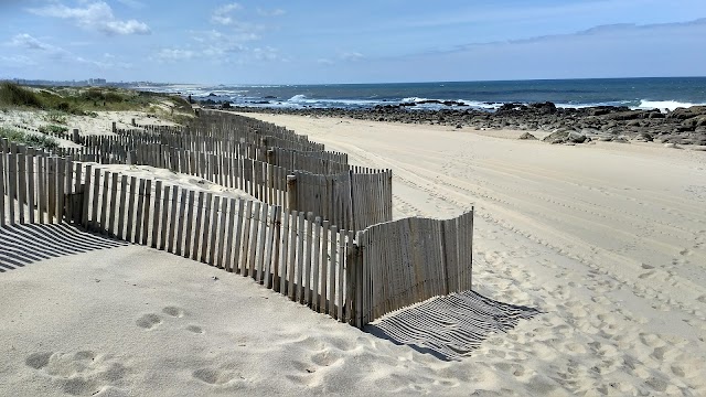 Praia da Madalena