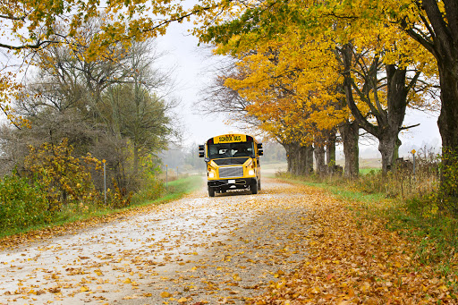 Winkle Bus Co - Thumbnail