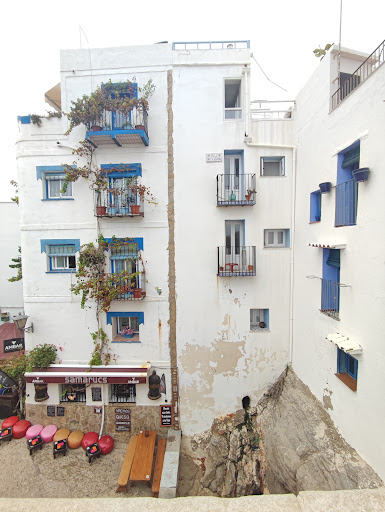 Samarucs - Visual