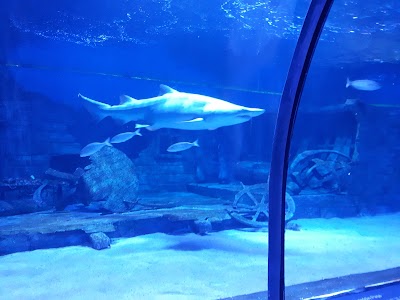 ViaSea Aquarium