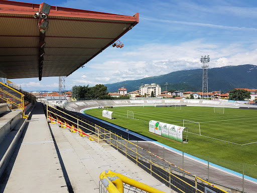 Stadio Rino Mercante Logo