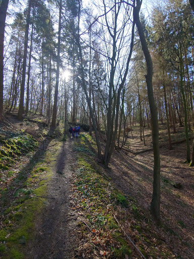 Parkplatz Weingartener Berg
