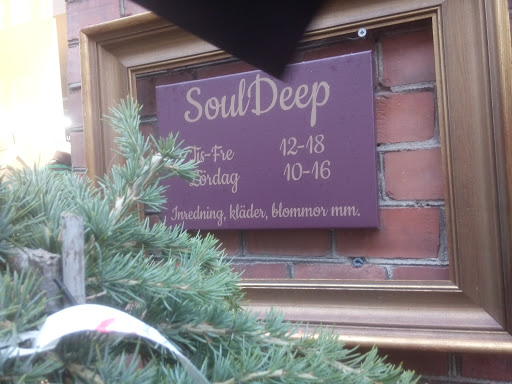 Soul Deep - Thumbnail