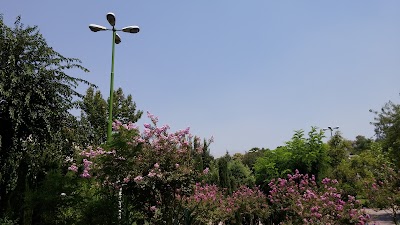 Photos of Nasr Park