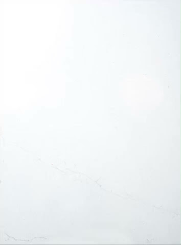 The Lonely Oyster by null