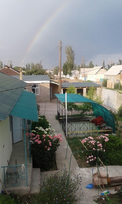 Photos of Green Zone