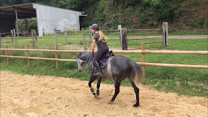 Photo n°3 de Haras de Cresme à Condé-en-Normandie (Écurie)