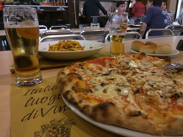 Truffle Gourmet