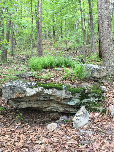 Eidolon Nature Preserve - United States