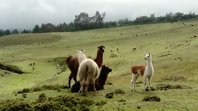 Photos of Camping Cochasqui