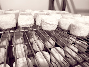 Photo n°6 de Ferme des p'tis bilounes/ La lodge de l'étoile du berger à Cenves (Gîte)