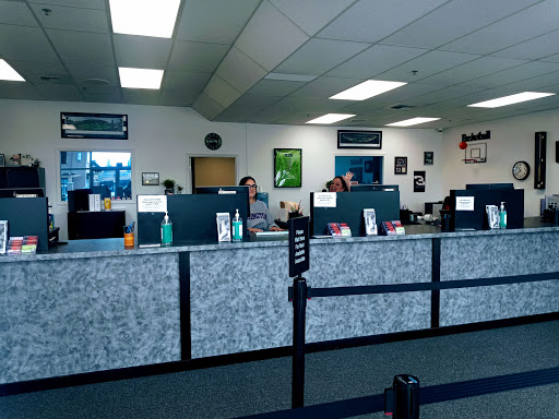 Seattle Auto Licensing - Visual