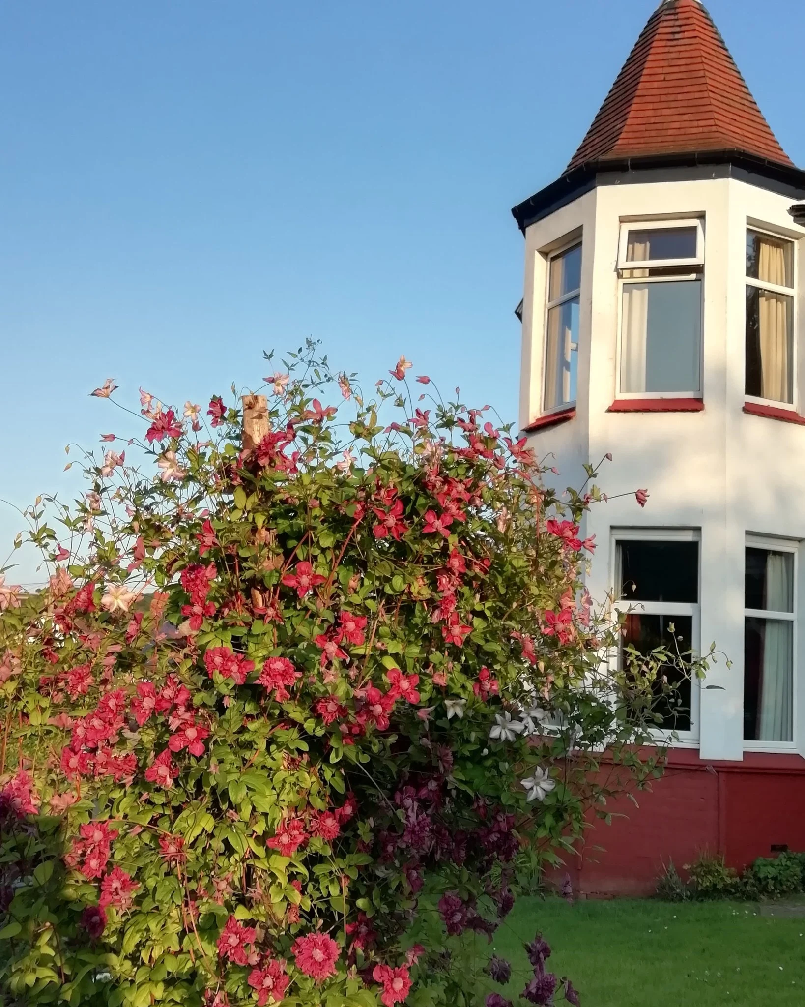 Beechlands Bed & Breakfast