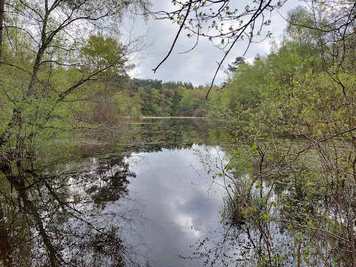 Möhlenbült - Thumbnail