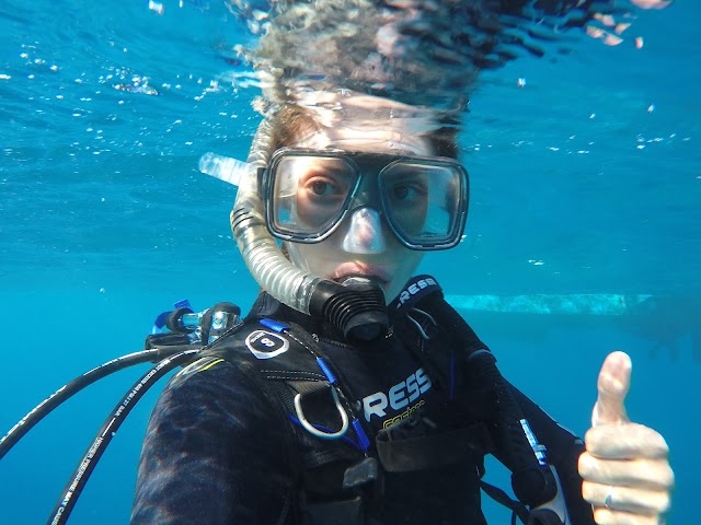 Kona Honu Divers