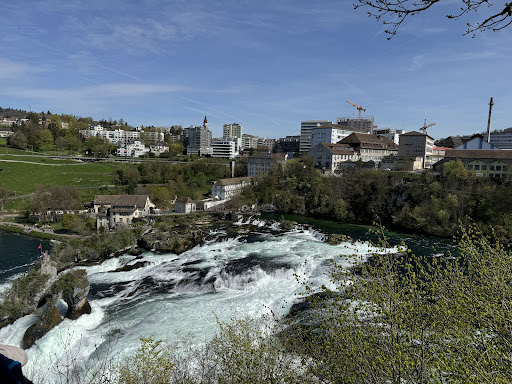 Laufen Castle at the Rheinfalls - Thumbnail