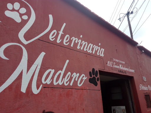 Veterinaria Madero - Thumbnail