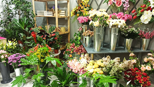 Issabel Flors - Thumbnail