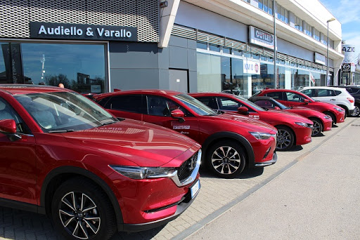Centro Assistenza Autorizzato Toyota Audiello & Varallo