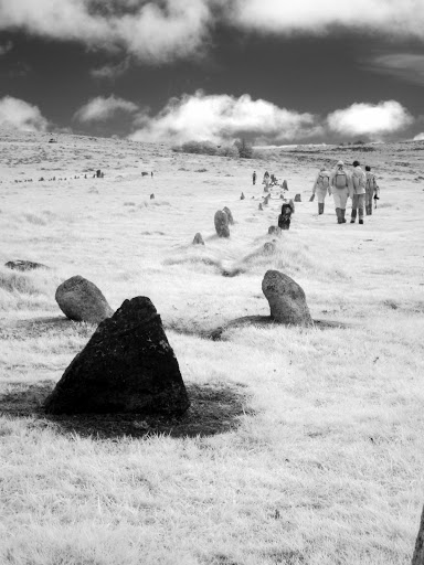 Merrivale Prehistoric Settlement - Thumbnail