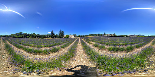 Photo 6 - Sault